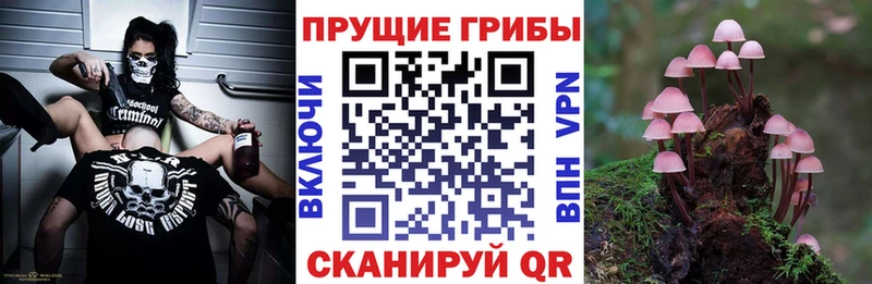 Псилоцибиновые грибы мицелий  Алупка 